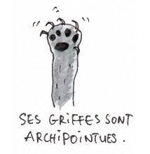 Coulis, les Griffes de la Nuit
