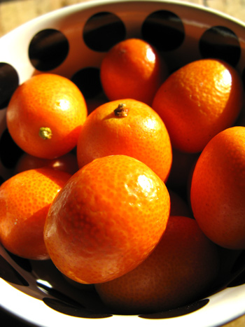Kumquat & ciboulettes