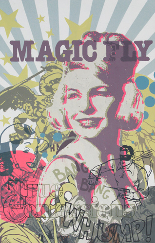 Magic fly