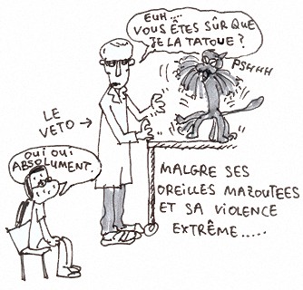 Chez le v&eacute;to...