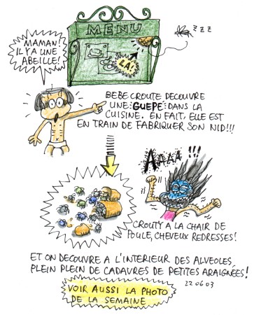 22 juin 2003