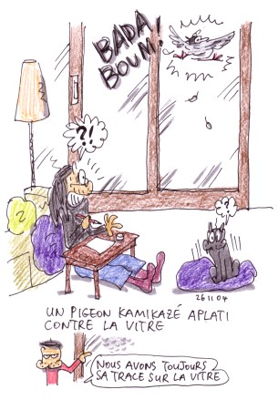 26 novembre 2004