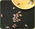 18 Olives
