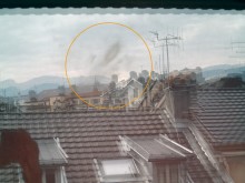 L'Impact du pigeon